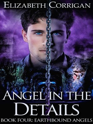 cover image of Angel in the Details